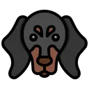 Free Dachshund  Icon