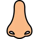 Free Nose Smell Sense Icon
