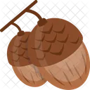 Acorn Oak Tree Icon