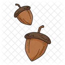 Acorn  Icon