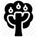 Apple tree  Icon