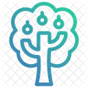 Apple tree  Icon