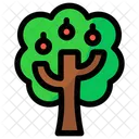 Apple Tree Green Tree Icon