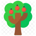 Apple tree  Icon