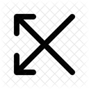 Cross Double Left Icon