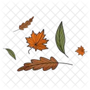Autumn Leaves  Icon