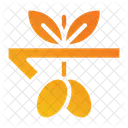 Berries  Icon