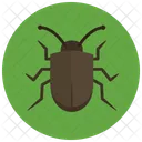 Bug  Icon