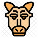 Camel Desert Arab Icon