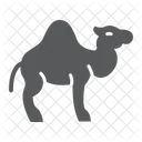 Camel Animal Mammal Icon