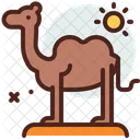 Camel Animal Desert Icon
