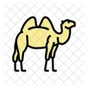 Camel  Icon