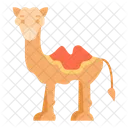 Camel Animal Mammal Icon