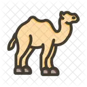 Animal Desert Wildlife Icon