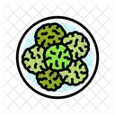Crackers Foodist Foodism Icon