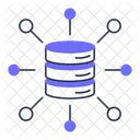 Database Network  Icon