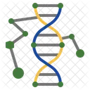 Dna Matching Genetics Dna Icon