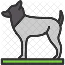 Animal Dog Foot Icon