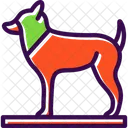 Animal Dog Foot Icon
