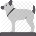 Animal Dog Foot Icon