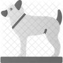 Animal Dog Foot Icon