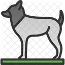 Animal Dog Foot Icon