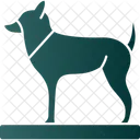 Animal Dog Foot Icon