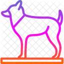 Animal Dog Foot Icon