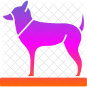 Animal Dog Foot Icon