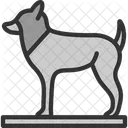 Animal Dog Foot Icon