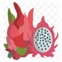 Dragon Fruit Fruit Food Icon