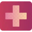 Emergency sign  Icon