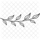 Calligraphic Element Calligraphic Header Calligraphic Border Icon