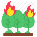 Forest Fire Tree Burning Forest Burning Icon