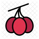 Fruit Olive Vegetable Icon