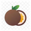 Fruit  Icon