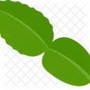 Bergamot Thai Dessert Icon