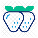 Fruit  Icon