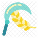 Harvest Agriculture Cereal Plant Icon