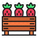 Harvest Spring Season Icon