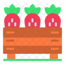Harvest Spring Season Icon