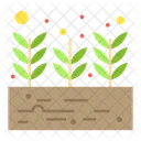 Harvest  Icon