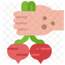 Harvest  Icon