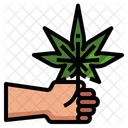 Harvest  Icon