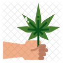 Harvest  Icon