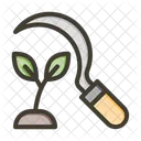 Agriculture Food Nature Icon