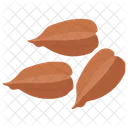 Hican Nuts Nuts Tree Nuts Icon