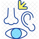 Human sense organs  Icon