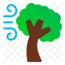Hurricane Wind Storm Icon