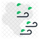Hurricane  Icon